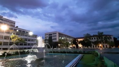Yunanistan öğrenci oturma izni: belgeler ve süreler 7 Aristoteles Üniversitesi kampüsünde akşamüstü, Selanik