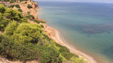 Halkidiki'de Toroneos Körfezi kıyısındaki koylardan biri