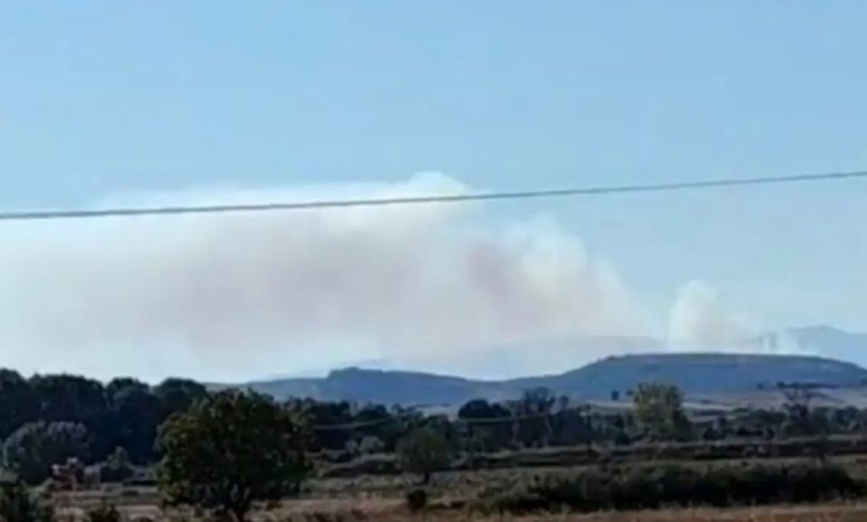 Yunanistan’da korkutan yangın 1 Bulgaristan’da başlayan ve sınırı aşarak Yunanistan’ın Meriç bölgesine ulaşan orman yangını kontrol altına alınamadı.